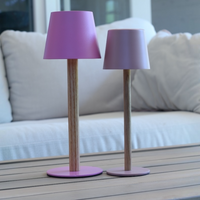 TIMBERCAN Mini Akku LED Tischlampe aus Massivholz – Kompakte Design Tischleuchte im Scandi Stil